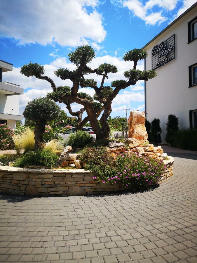 Apartament Anja *